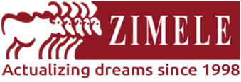 Zimele Holdings Logo - Partner of Set Free Capital